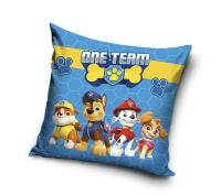 Vankik paw patrol one team